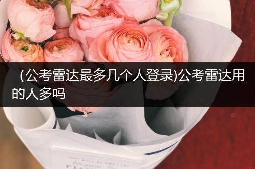 （公考雷达最多几个人登录)公考雷达用的人多吗