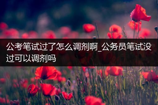 公考笔试过了怎么调剂啊_公务员笔试没过可以调剂吗