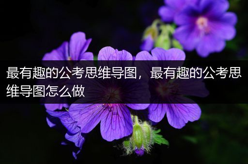 最有趣的公考思维导图，最有趣的公考思维导图怎么做
