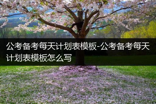 公考备考每天计划表模板-公考备考每天计划表模板怎么写