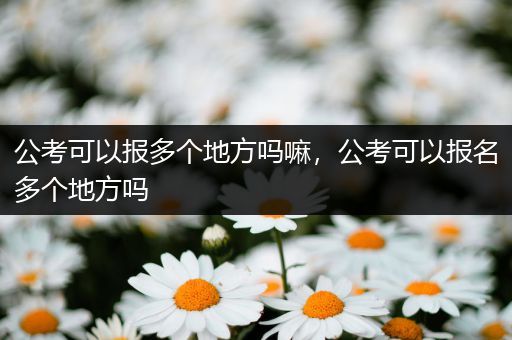 公考可以报多个地方吗嘛，公考可以报名多个地方吗