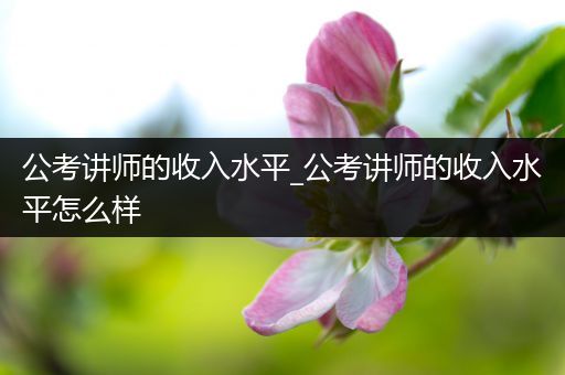 公考讲师的收入水平_公考讲师的收入水平怎么样