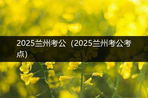 2025兰州考公（2025兰州考公考点）