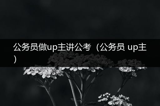 公务员做up主讲公考（公务员 up主）