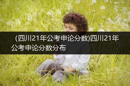 （四川21年公考申论分数)四川21年公考申论分数分布