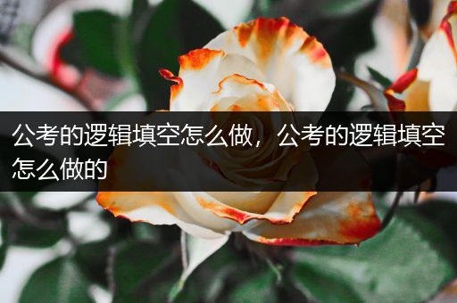 公考的逻辑填空怎么做，公考的逻辑填空怎么做的