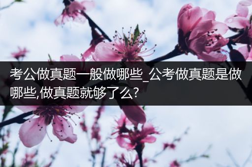 考公做真题一般做哪些_公考做真题是做哪些,做真题就够了么?