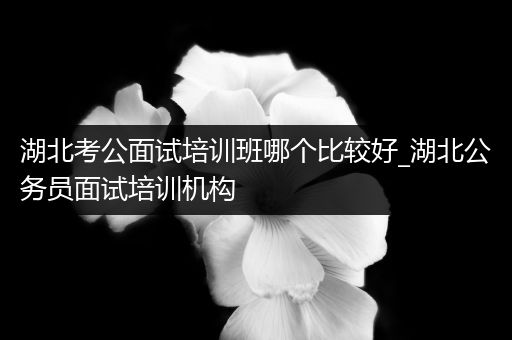 湖北考公面试培训班哪个比较好_湖北公务员面试培训机构