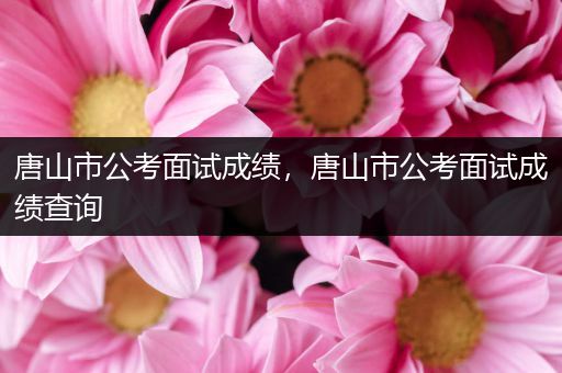 唐山市公考面试成绩，唐山市公考面试成绩查询