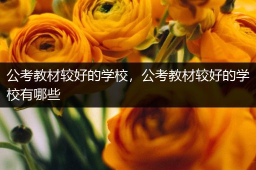 公考教材较好的学校，公考教材较好的学校有哪些
