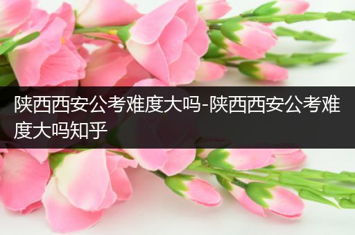 陕西西安公考难度大吗-陕西西安公考难度大吗知乎