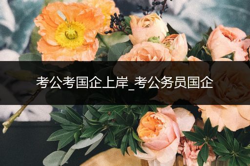 考公考国企上岸_考公务员国企
