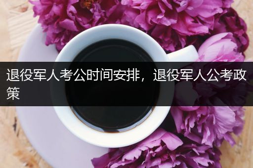 退役军人考公时间安排，退役军人公考政策