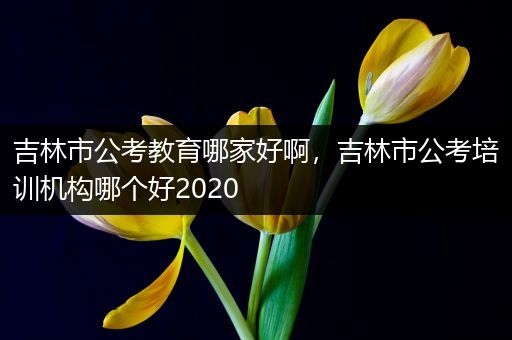 吉林市公考教育哪家好啊，吉林市公考培训机构哪个好2020