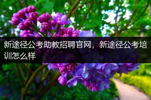 新途径公考助教招聘官网，新途径公考培训怎么样