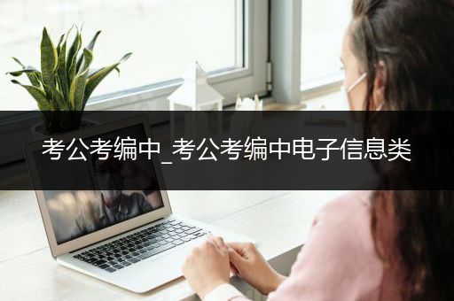 考公考编中_考公考编中电子信息类