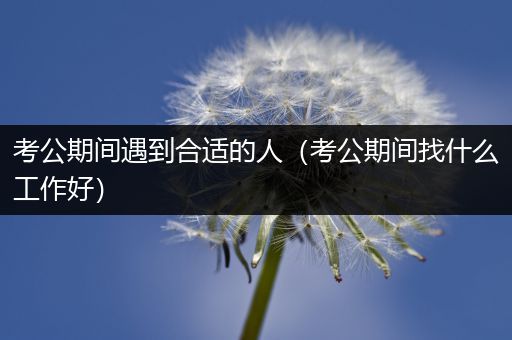 考公期间遇到合适的人（考公期间找什么工作好）