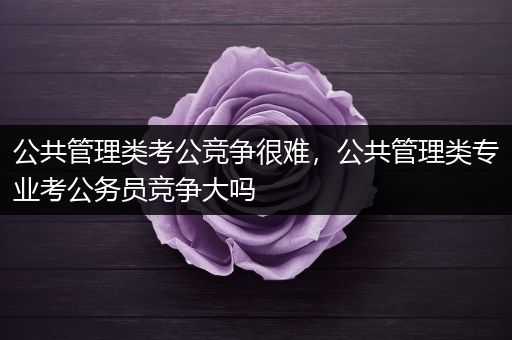 公共管理类考公竞争很难，公共管理类专业考公务员竞争大吗