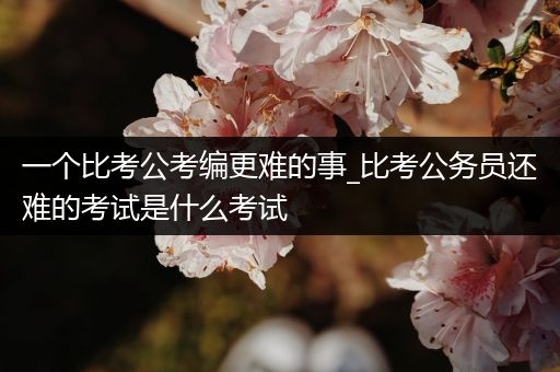 一个比考公考编更难的事_比考公务员还难的考试是什么考试