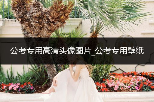 公考专用高清头像图片_公考专用壁纸