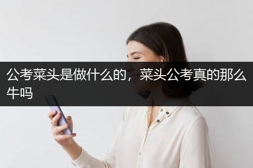 公考菜头是做什么的，菜头公考真的那么牛吗