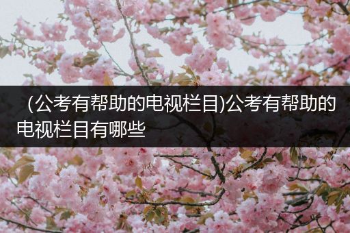 （公考有帮助的电视栏目)公考有帮助的电视栏目有哪些
