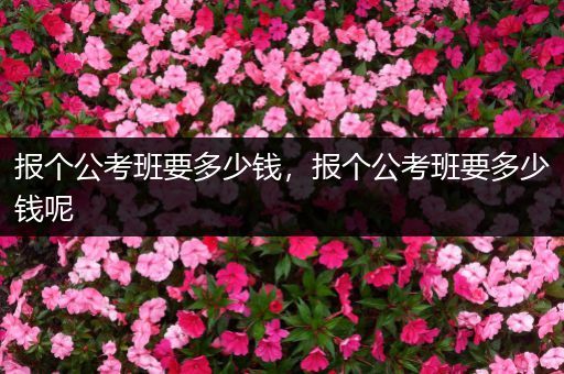 报个公考班要多少钱，报个公考班要多少钱呢