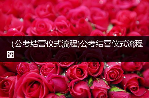 （公考结营仪式流程)公考结营仪式流程图