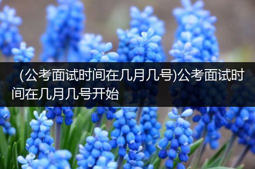 （公考面试时间在几月几号)公考面试时间在几月几号开始