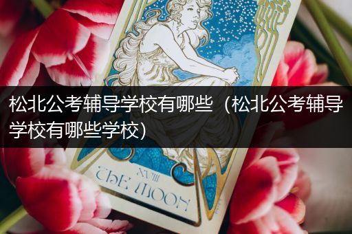 松北公考辅导学校有哪些（松北公考辅导学校有哪些学校）