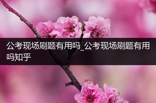 公考现场刷题有用吗_公考现场刷题有用吗知乎