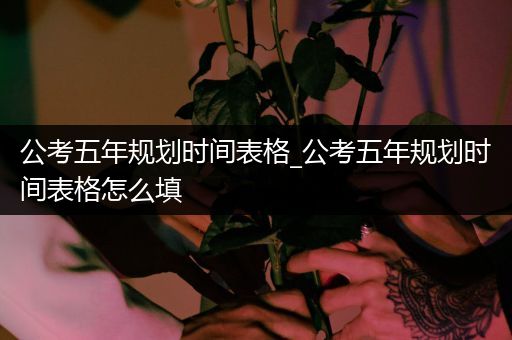 公考五年规划时间表格_公考五年规划时间表格怎么填