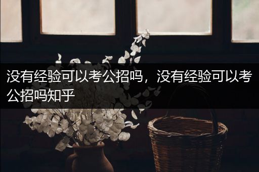 没有经验可以考公招吗，没有经验可以考公招吗知乎