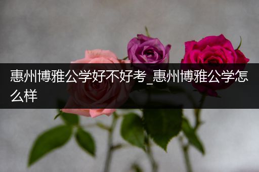 惠州博雅公学好不好考_惠州博雅公学怎么样