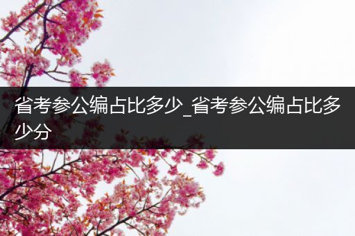 省考参公编占比多少_省考参公编占比多少分