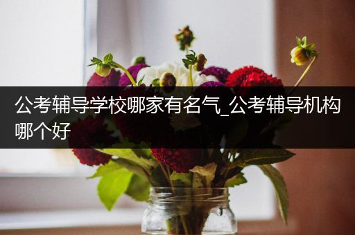 公考辅导学校哪家有名气_公考辅导机构哪个好