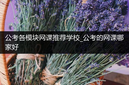 公考各模块网课推荐学校_公考的网课哪家好