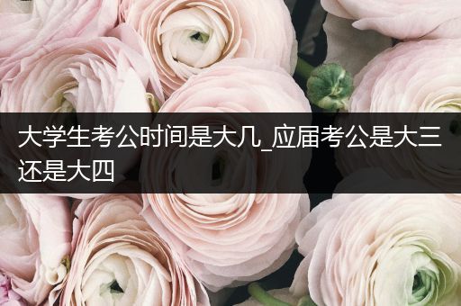 大学生考公时间是大几_应届考公是大三还是大四