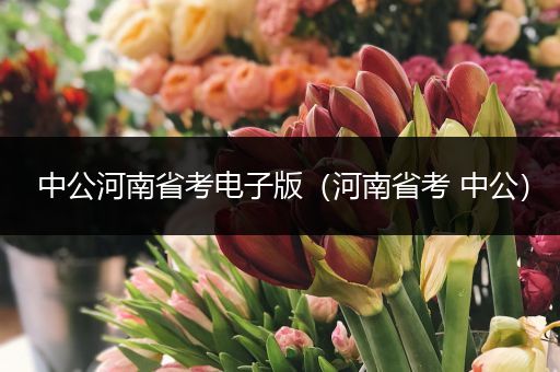 中公河南省考电子版（河南省考 中公）