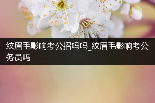 纹眉毛影响考公招吗吗_纹眉毛影响考公务员吗