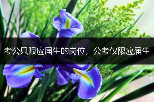 考公只限应届生的岗位，公考仅限应届生
