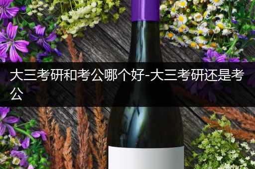 大三考研和考公哪个好-大三考研还是考公