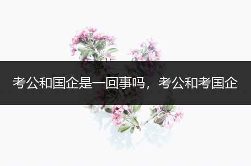 考公和国企是一回事吗，考公和考国企