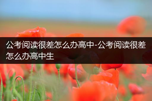 公考阅读很差怎么办高中-公考阅读很差怎么办高中生