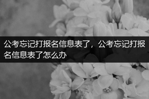公考忘记打报名信息表了，公考忘记打报名信息表了怎么办