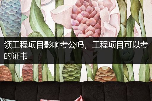 领工程项目影响考公吗，工程项目可以考的证书