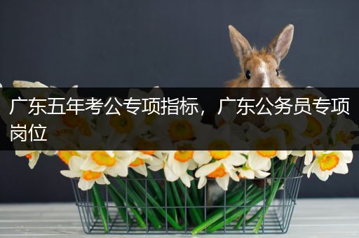 广东五年考公专项指标，广东公务员专项岗位