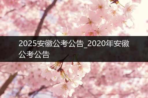 2025安徽公考公告_2020年安徽公考公告
