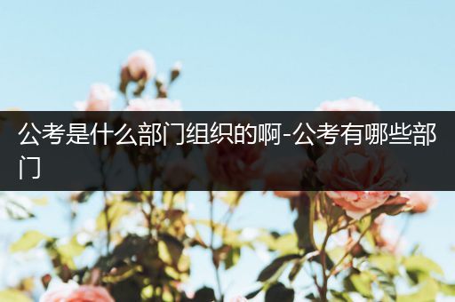 公考是什么部门组织的啊-公考有哪些部门