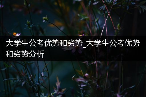 大学生公考优势和劣势_大学生公考优势和劣势分析